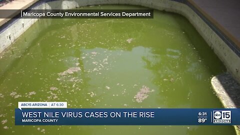West Nile virus reaches record numbers in Maricopa County