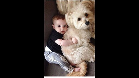 Cute Baby Loving Dog