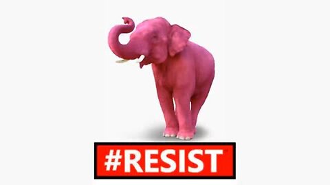 The Pink Elephant In The Room.. IS OUR FREEDOM IS AT STAKE! - #RESIST