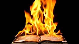 The digital burning of books