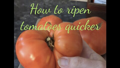 The tomato ripening secret only real gardeners know