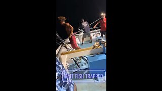 Pulling up fishing traps!
