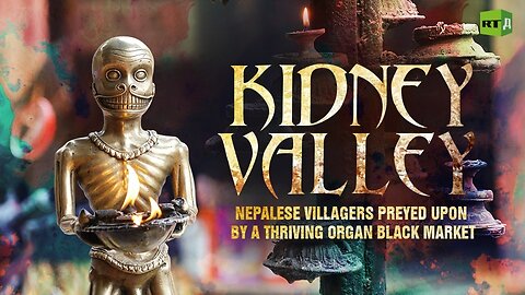 Kidney Valley | RT Documentary