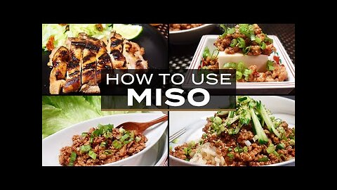 How to Use MISO vol.1 | Tasty Meaty Recipes with MISO!