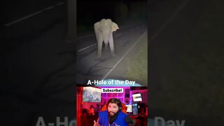 Tiktoker harasses elephant in Sri Lanka