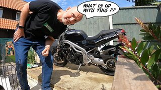 HELP TRIUMPH SOUNDS LIKE A TESLA. My Triumph Speed Triple is making a WHINING NOISE.