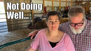 Not Doing Well | Big Family Homestead