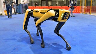 How to Disable Spot the Robot Dog (Thinking Ahead) What You Gonna Do When They Come For You?