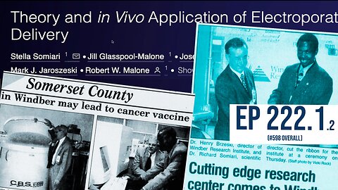 Theory in Vivo Application of Electroporative Gene Delivery (Sep 2000) - Staffing Windber Medical v2