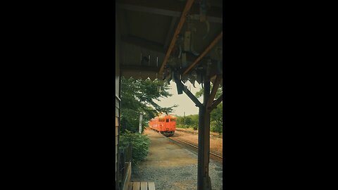 Ephemeral Moments: Chiba Station Arrival