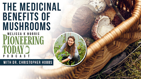 EP: 422 The Medicinal Benefits of Mushrooms with Dr. Christopher Hobbs