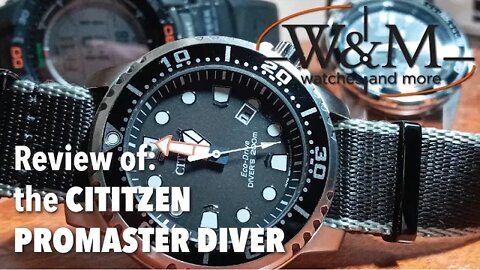 Watches and More Citizen Promaster Review