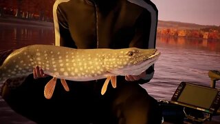 Fishing Sim World level 33 part 1