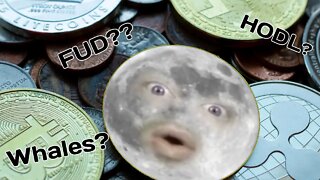 HODL? FUD? 20 Crypto Terms Explained!