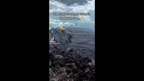 crazy things seen at sea