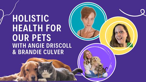 Holistic Healing with Angie Driscoll and Brandie Culver, The Pet Parenting Reset