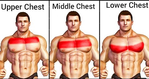 Chest workout