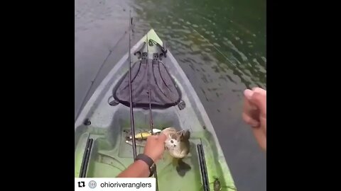 Boat Fishing for Bass