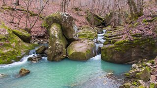 Smith Creek Nature Preserve