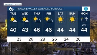 Frankie's February 8, 2022 Forecast