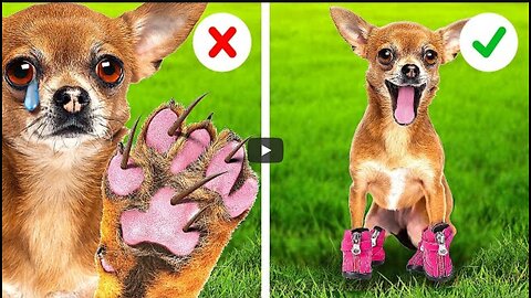 EMERGENCY HACKS for PET OWNERS || USEFUL HACKS AND GADGETS for SMART PET LOVERS