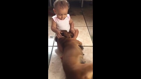 cute baby and dog love video