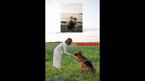 Dogs Lovers - animals lovers 💖😊 dog's purpose full movie