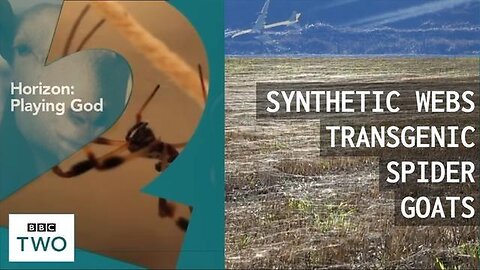 SYNTHETIC WEBS FROM THE SKY & TRANSGENIC SPIDER GOATS