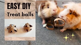 Easy DIY Treat Balls for Guinea Pigs!