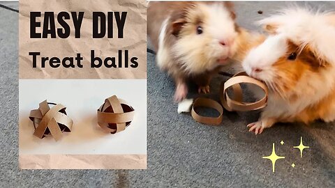 Easy DIY Treat Balls for Guinea Pigs!