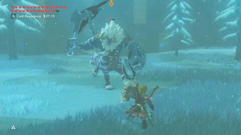 Breath of the Wild Master Mode 193