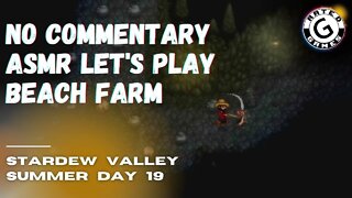 Stardew Valley No Commentary - Family Friendly Lets Play on Nintendo Switch - Summer Day 19