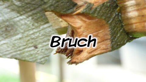 Mach's Dir. Selbst. - Bruch