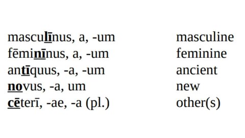 Ch. 2 Vocabulary From "Lingua Latina Per Se Illustrata Pars I Familia Romana"