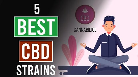 5 Best CBD Cannabis Strains!