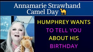 Humphrey Wants To Tell You About His Birthday