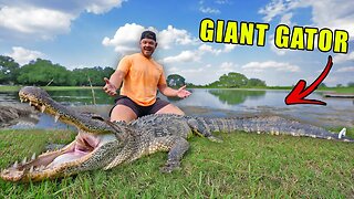 We Caught The BIGGEST Gator On The RANCH!