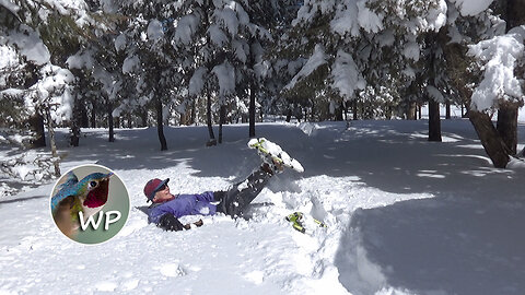 Let it Snow | Mountain Home Backyard | Colorado