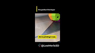 Perfect 3D printer first layer