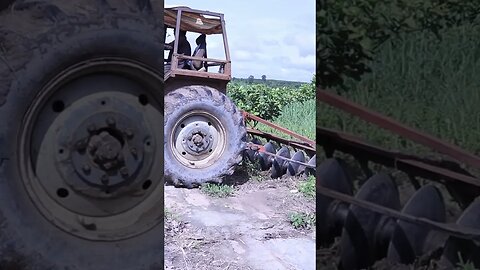 Plow to get rid of weeds in cashew farm