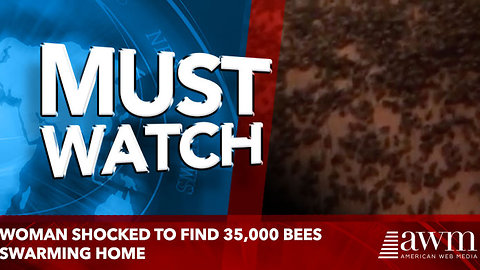 Woman shocked to find 35,000 bees swarming home
