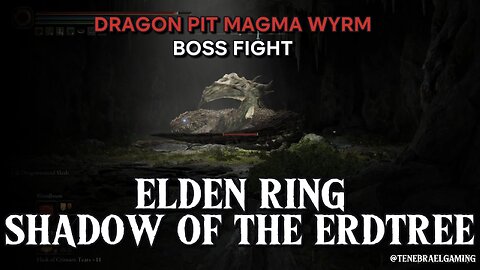 MAGMA WYRM DRAGON PIT #eldenring #shadowoftheerdtree #BOSSFIGHT