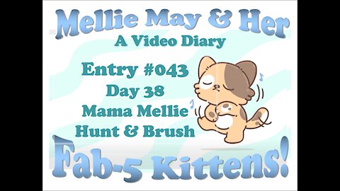Video Diary Entry 043: Mama Mellie Wants To Hunt And Be Brushed - Day 38