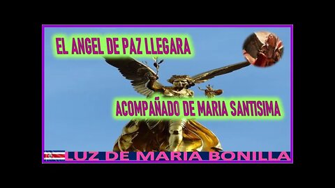 EL ANGEL DE PAZ LLEGARA ACOMPAÑADO DE MARIA SANTISIMA MENSAJE DE SAN MIGUEL ARCANGEL A LUZ DE MARI