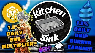 😱New KITCHEN SINK Add-On | 1.5% "DAILY" BNB In / BNB Out | The Pulse DRIP Team Has Done It AGAIN‼️