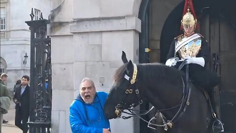 The horse deals with this rein grabber #horseguardsparade