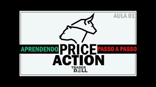 PRICE ACTION - AULA 1 - DAY TRADE INICIANTE / DO ZERO PASSO A PASSO PARA TRADERS INICIANTES