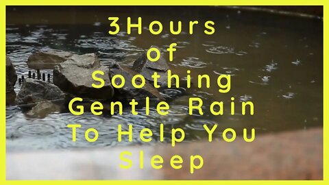 Soothing Gentle Rain | 3 Hours! | Rain Only | Deep Sleep & Anti Anxiety For People and Pets