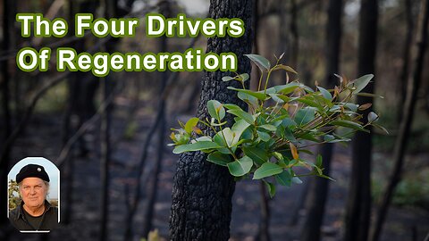 The Four Drivers Of Regeneration