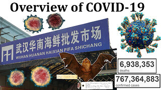 Mainstream Overview of COVID-19